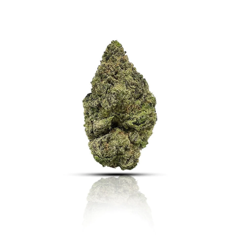 ALIEN CBG9