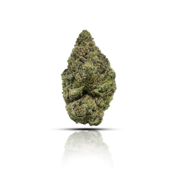 ALIEN THCV & CBN