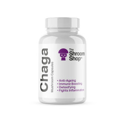 GELULES CHAMPIGNONS CHAGA