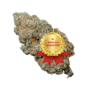 MELA SOUR CBD - SPANNABIS 2K24