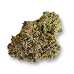 PURPLE SUNSET CBD - 2K24