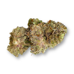 PURPLE SUNSET CBD - 2K24