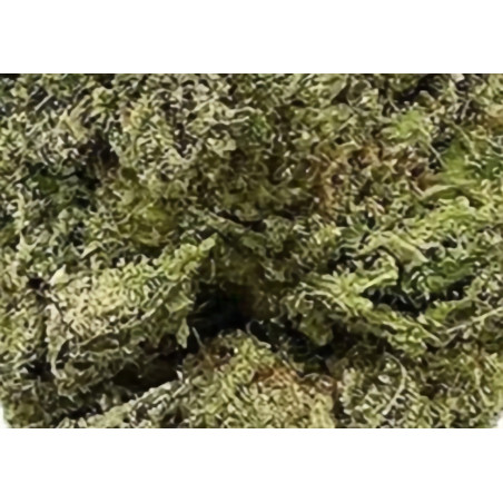 TRIM FLEURS THCV - 5G