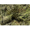 TRIM FLEURS THCV - 5G